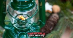 Original Feuerhand Stormlantaarn Groen 15 Original Feuerhand Stormlantaarn Groen -Bbq Gerelateerd Winkel image 1394