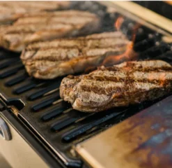 Masterbuilt Portable Charcoal Grill -Bbq Gerelateerd Winkel image 495