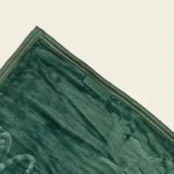 Big Green Egg Fleecedeken 5 Big Green Egg Fleecedeken -Bbq Gerelateerd Winkel image 725